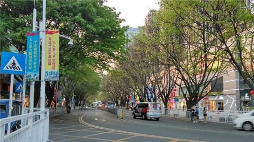 所属街道社区怎么查询,怎么查询一个地址属于哪个街道办事处图5