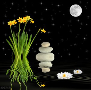 繁星春水赏析感悟(读《繁星·春水》有感)