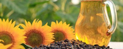 玉米油与葵花籽油区别在哪 玉米油与葵花籽油区别是什么