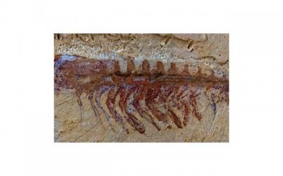 ​怎么治好性单恋