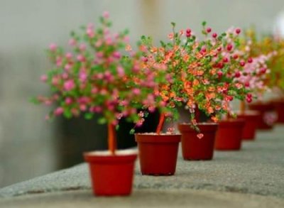 提土旁的字有哪些