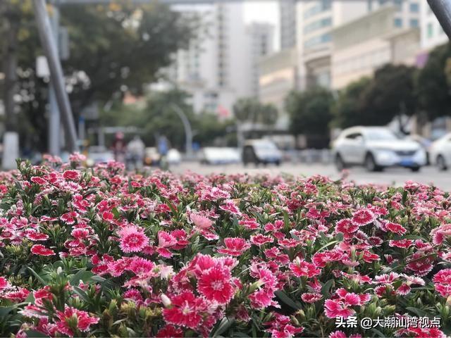 广东气候类型及特征(广东一年四季气候特点)