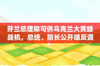​芬兰总理称可供乌克兰大黄蜂战机，总统、防长公开唱反调
