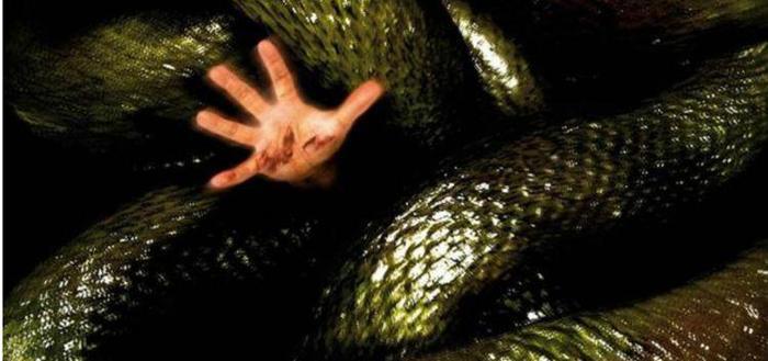 人被大蛇吞食了,带有一把锋利的刀,有可能切开蛇腹逃生吗?