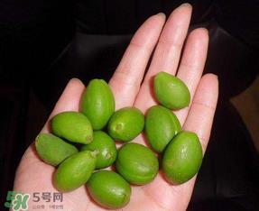 青杏怎么吃?青杏怎么做好吃? 青杏怎么吃?青杏怎么做好吃?