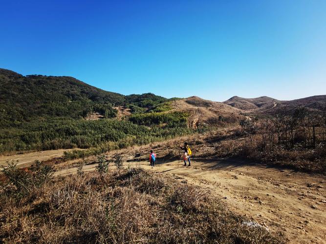 3、金鸡山风景区