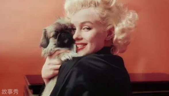 网络图片(侵删)