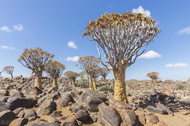 孩子的天真都藏着对父母的恐惧（孩子之间的战争）(2)