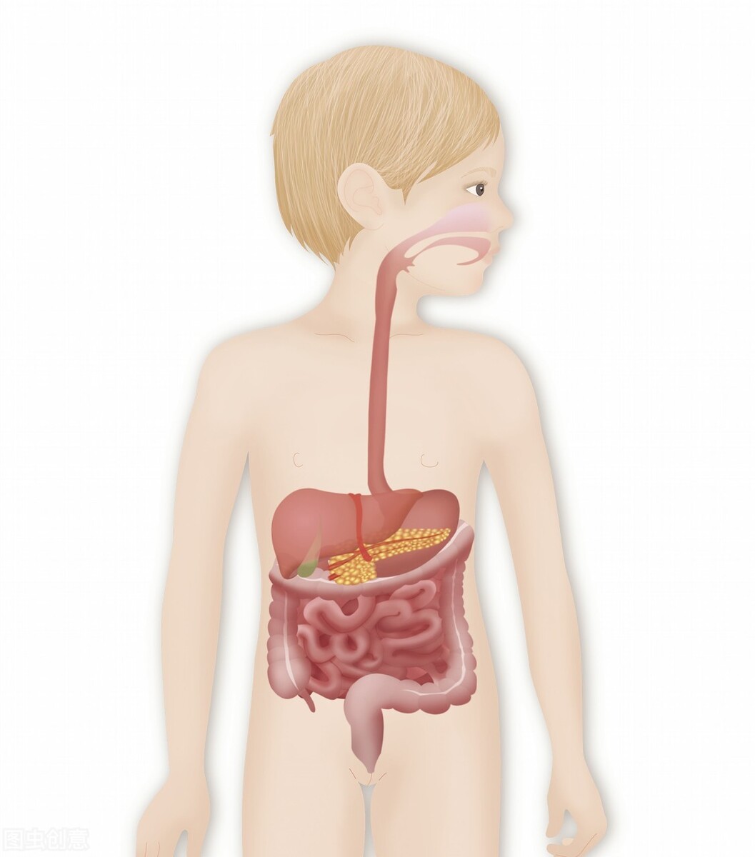 个月宝宝拉肚子