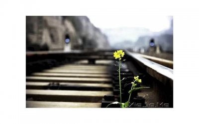 ​男人知道了老婆出轨了怎么办，老婆出轨了，男人该怎么办？