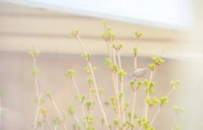 ​离开你之后我会很好的说没有你我的生活会更好