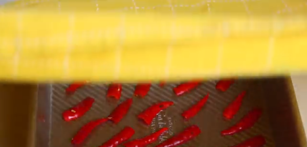 如何晒干辣椒不会烂,红辣椒怎么才能晒干但不烂皮图6