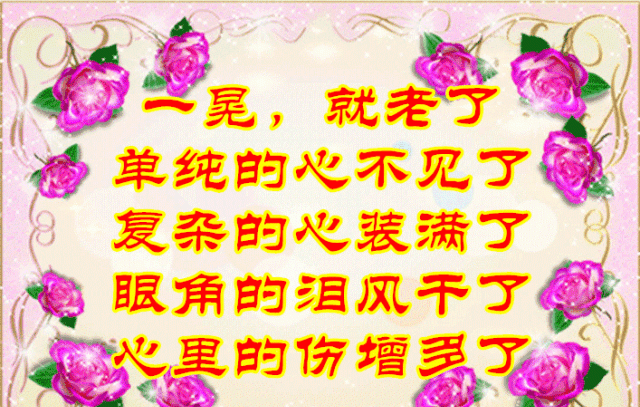 一晃就老了的幽默短句,一晃就老了经典语录