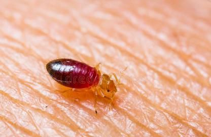 晚上开灯睡觉对人有什么伤害