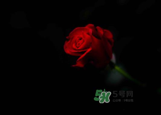 七夕可以怎样赚外快_七夕卖什么赚钱_卖花赚钱吗