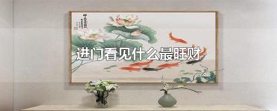 ​进门看见什么最旺财