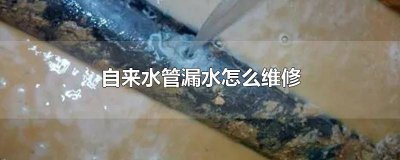 ​自来水管漏水怎么维修图解 自来水管漏水怎么维修视频教程