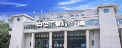 ​百色市有几个口岸