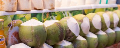 ​金椰子和绿椰子的区别