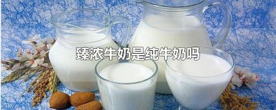 ​臻浓牛奶是纯牛奶吗