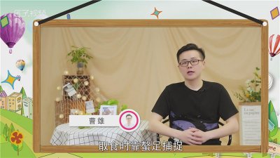 ​螃蟹吃什么食物好养活
