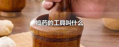 ​捣药的工具叫什么