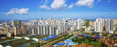 ​广西来宾属于哪个市