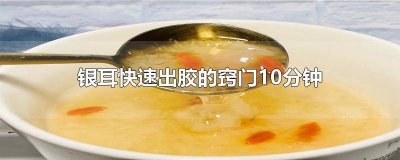 ​怎样使银耳快速出胶 银耳怎么快速出胶