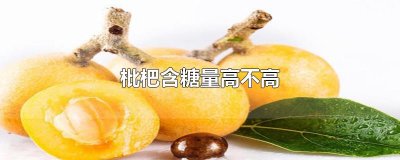 ​枇杷含糖量高不高