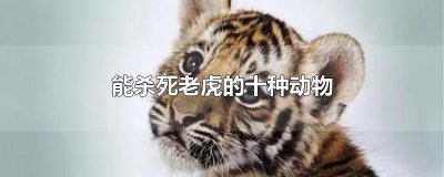 ​能杀死老虎的十种动物