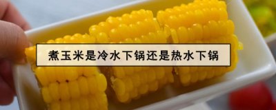 ​煮玉米是冷水下锅还是热水下锅 煮玉米需要放盐吗