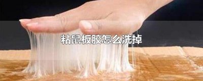 ​粘鼠板胶怎么洗掉