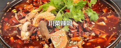 ​川菜辣吗