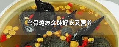 ​乌骨鸡怎么炖好吃又营养