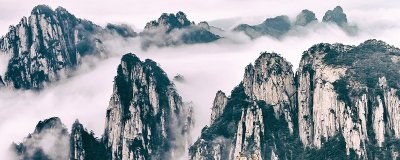 ​金鸡山海拔多少米