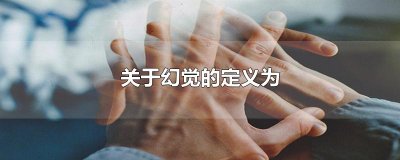 ​关于幻觉的定义为