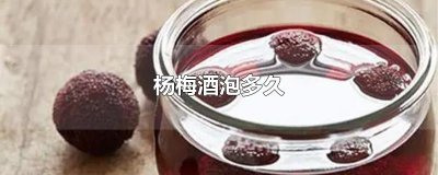 ​杨梅酒泡多久