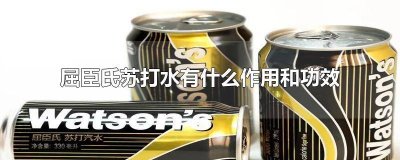 ​屈臣氏的苏打水怎么样 屈臣氏有苏打水吗