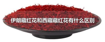 ​伊朗藏红花和西藏藏红花有什么区别