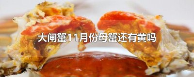 ​大闸蟹11月份母蟹还有黄吗