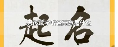 ​男孩苡字取名寓意是什么