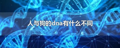 ​人与狗的dna有什么不同