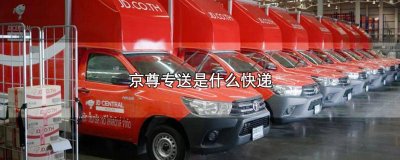 ​京东的京尊专送是什么 京尊专送需多少钱商品