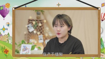 ​翡翠是玉吗玉是翡翠 玉属于翡翠吗?