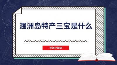 ​南三岛特产 涠洲岛的特产