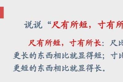 ​尺有所长寸有所短的意思是什么