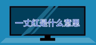 ​一丈红是什么意思啊