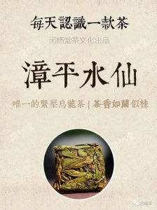 ​每日认识一款茶|唯一的一款紧压乌龙茶 茶香如兰似桂·漳平水仙