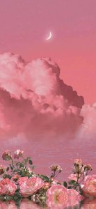 ​分享一组高清干净全屏壁纸