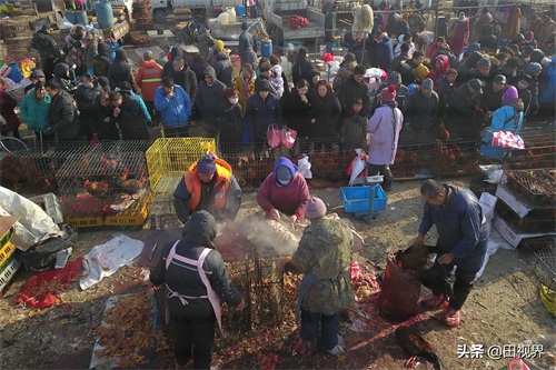 沈阳:航拍百年蒲河大集